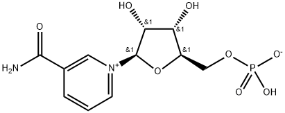 β-nikotínamid mononukleotid