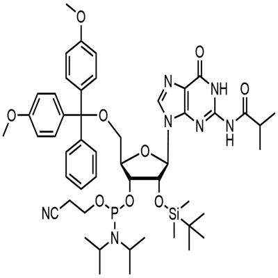 5'-0-(4,4-dimetoxytrityl)-2'-0-[(terc-butyl)dimetylsilyl]-N-izobutyrylguanozín-3'-(2-kyanoetyl-N,N-diizopropyl)fosforamidit