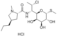 Klindamycín hydrochlorid