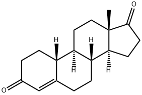 norandrostenedione